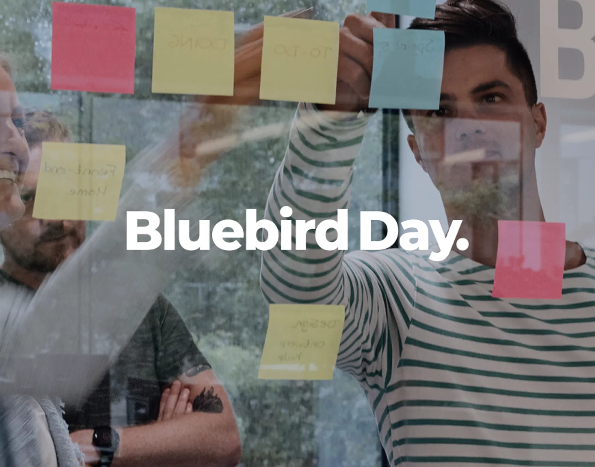 Bluebird Day Logo